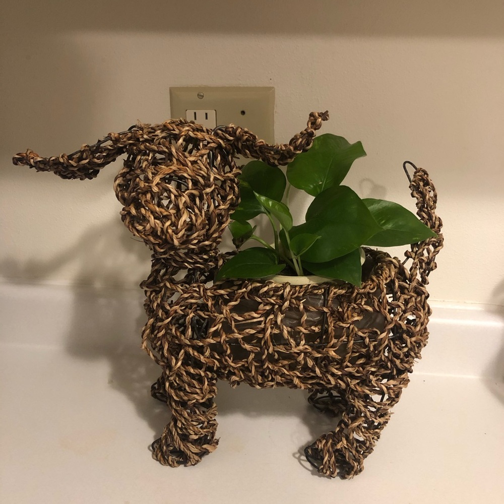 Wicker dog planter